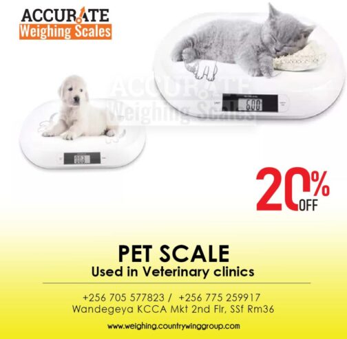 a veterinary scale with anti-slip pads in Kibaale