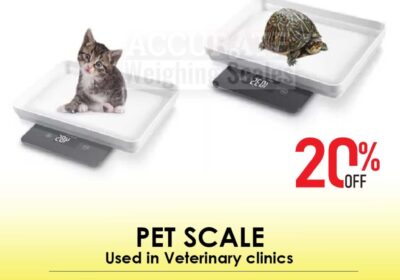 pet-scale-16-1