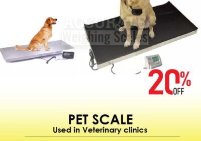 pet-scale-18-1