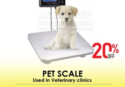 pet-scale-19