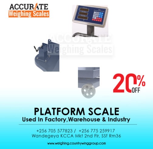 Commercial light duty platform scale with raised indicator