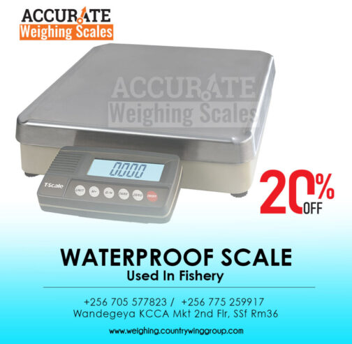 double LED display table top weighing scale digital