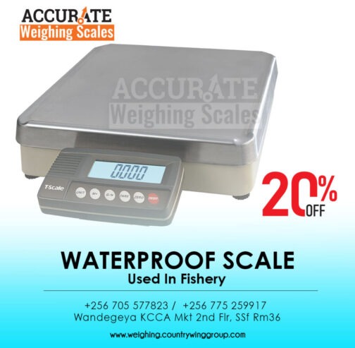 wet environment stainless steel table top weight scale