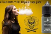 Delta-9 THC Tropical vape juice in Pakistan 03365575793