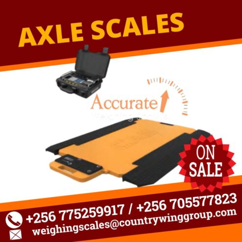 axle car scales with dynamic weighing indicator for moving