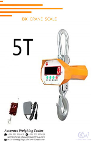 Digital BX crane weighing scale with one face at affordable