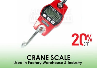 CRANE-SCALE-3