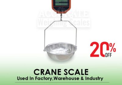 CRANE-SCALE-35-1