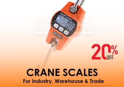 CRANE-SCALES-17