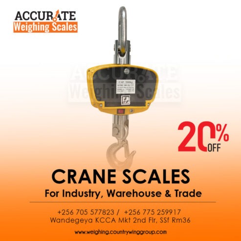 Hiweigh crane weighing scale with LCD backlit display