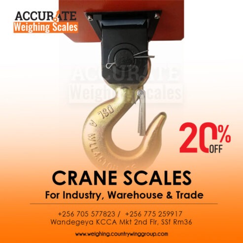 digital crane hanging weighing scales with a 300kg capacity