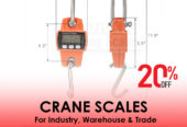 crane weighing scales with palm indicator affordable price