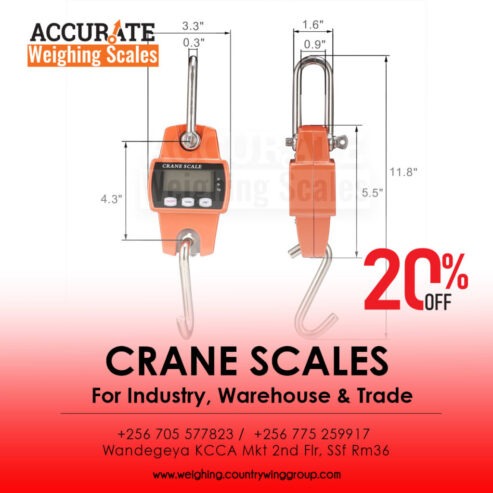 crane weighing scales with palm indicator affordable price