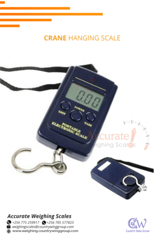 Digital Travel weighing scale with overload warning function