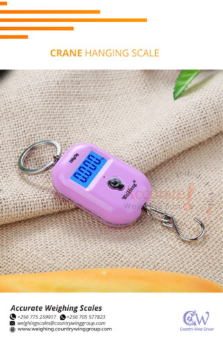 Portable Luggage weighing Scale Digital Travel Scale