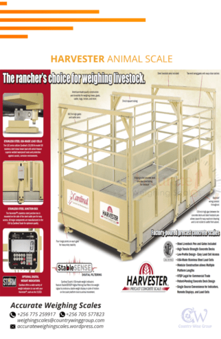 Harvester Livestock type weighing scales with dust proof