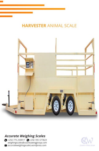 double deck design heavy duty structure animal weighing