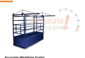 cattle weighing scale with 3050*725*1740mm dimensions