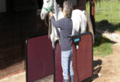 large animal weighing scales in two different models