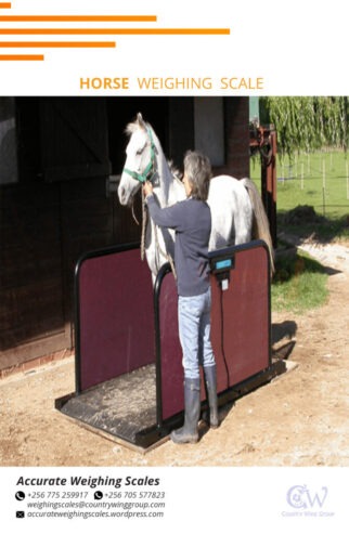 large animal weighing scales in two different models