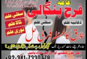 Get Love Back Divorce Problem Solution UK Amil Baba in Dubai