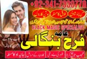 Get Love Back Divorce Problem Solution UK Amil Baba in Dubai