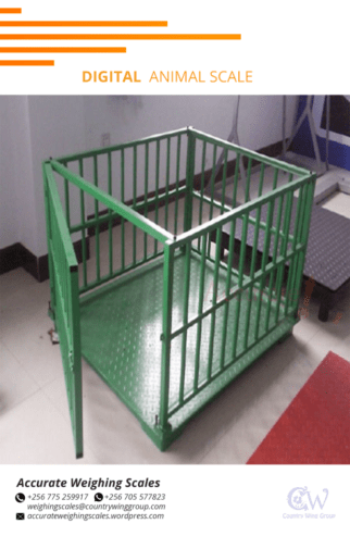 2000kg minimum capacity livestock weighing scales on jumia