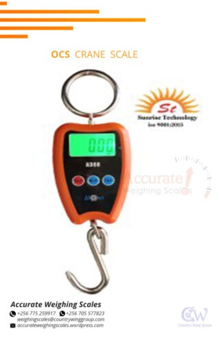 Light duty crane weighing scale for retail business