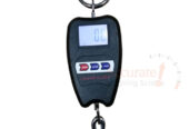 Raised hanging crane weighing scale affordable price