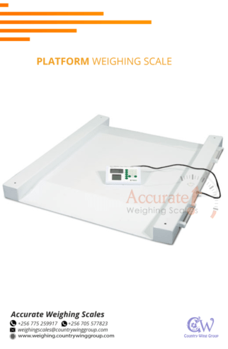 Stainless-steel heavy -duty platform scale with time/hold