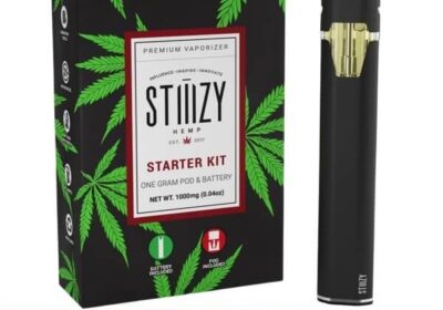 STIIIZY-Hemp-Original-Pods-D8-Starter-Kit-1g