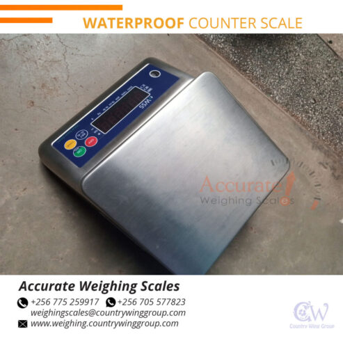 Waterproof weighing scale perfect for fish processing