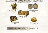 We sell gold Coins &nuggets in Brussels Belgium+256757598797