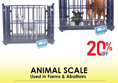 animal-scale-29