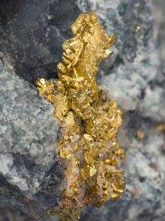 African Gold Mines for Sale in Astrakhan Russia+256757598797