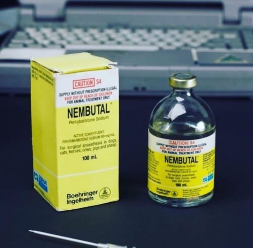 BUY NEMBUTAL ONLINE ,BUY PENTOBARBITAL SODIUM, BUY INJECTAB