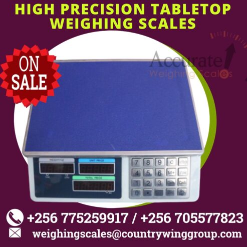 Electric precision balance with extra LCD display