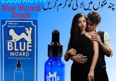 Blue-Wizard-1