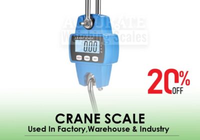 CRANE-SCALE-19