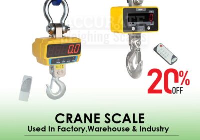 CRANE-SCALE-25-1