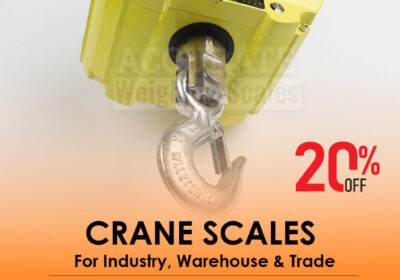 CRANE-SCALES-27