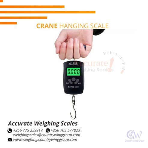 Digital hook weighing scales with overload warning function