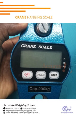 Light duty crane weighing scale for retail business