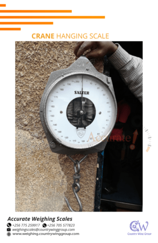 Heavy duty dial salter crane weighing scale online for sale