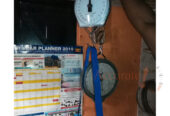 Heavy duty dial salter crane weighing scale online