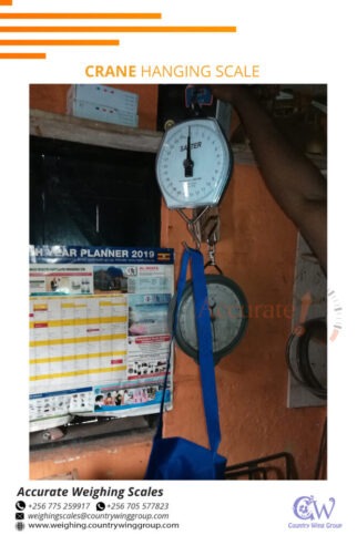 Heavy duty dial salter crane weighing scale online