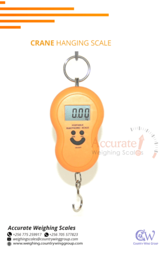 Raised hanging luggage crane weighing scale affordable price