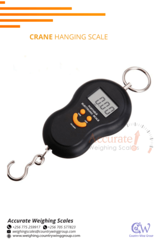 Simple Handled Portable weight Scale