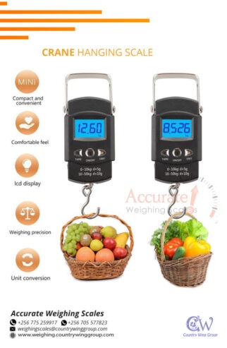 Portable luggage weighing scales of up to 50kg capacity