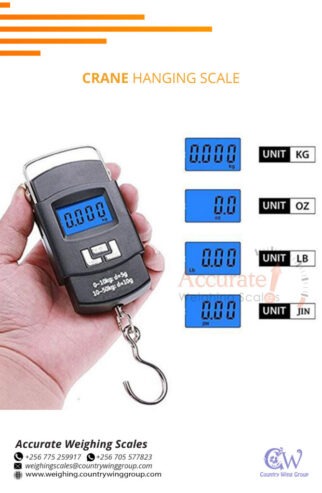 Digital hook weighing scales with overload warning function